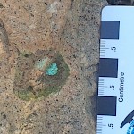 Copper mineralization (malachite) in Tertiary lapilli tuff